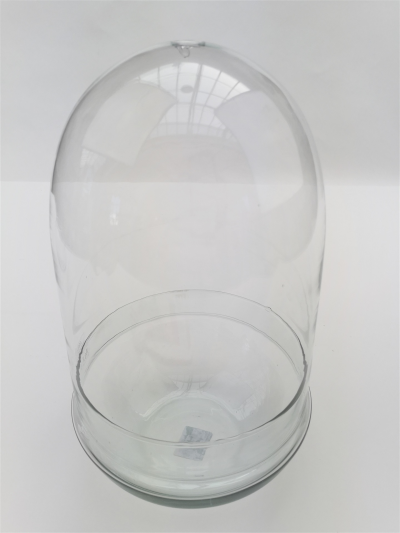 Phil terrarium cloche verre...