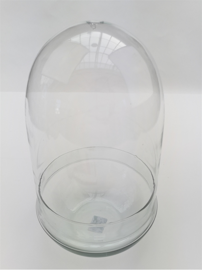 Phil terrarium cloche verre H 30 cm